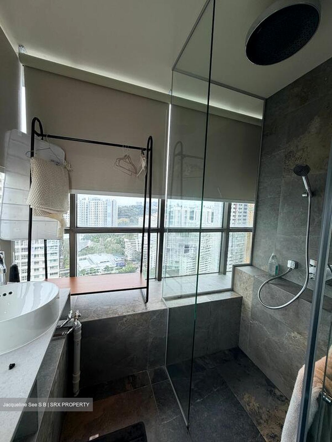 Skyline Residences (D4), Condominium #568785211
